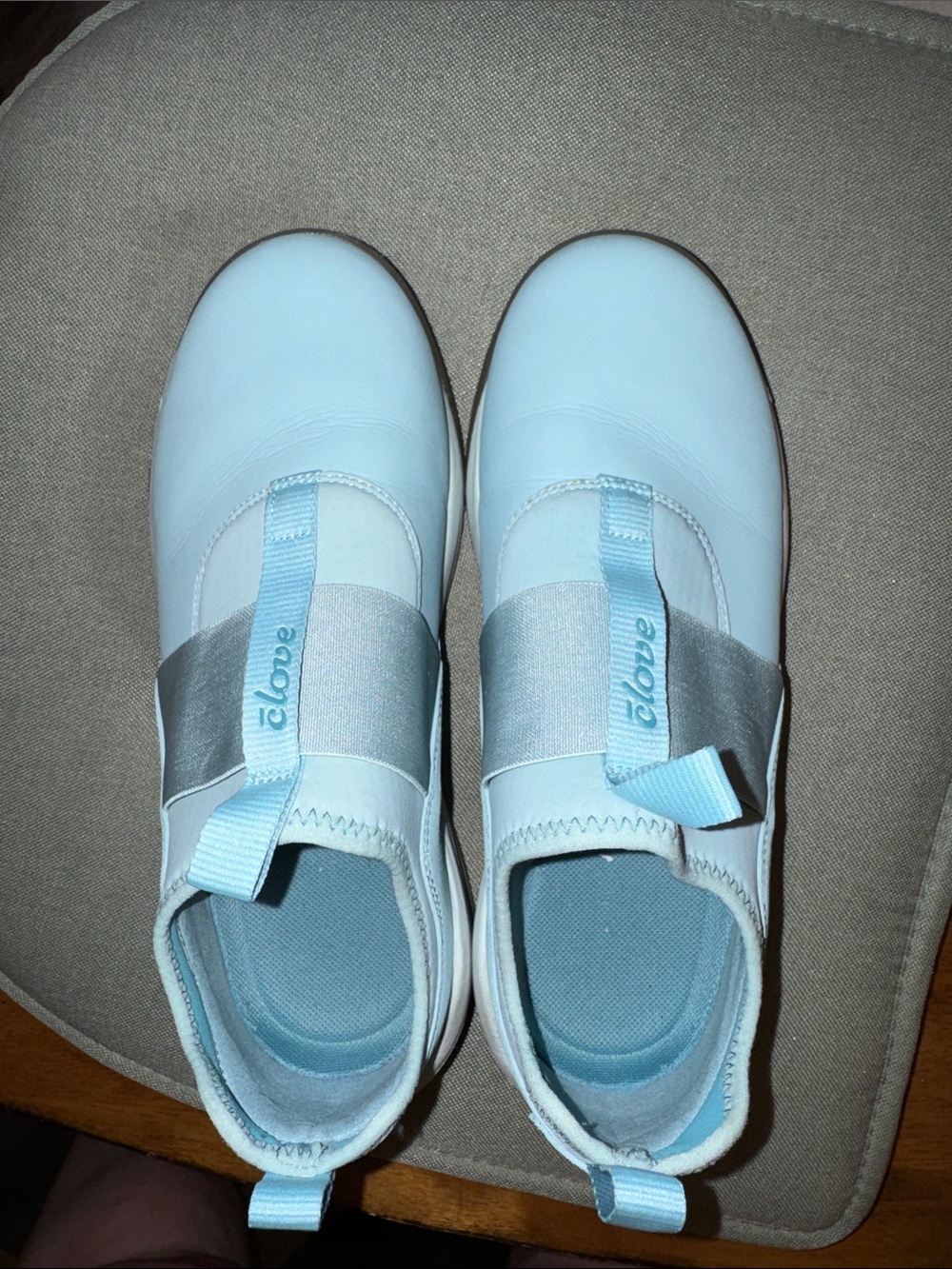 Clove Slip-on Sneaker